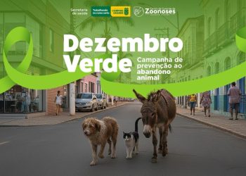 CCZ realiza Dia D de Adoção Dezembro Verde neste sábado na Praça da Bandeira