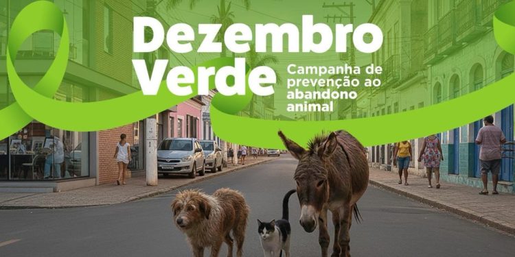CCZ realiza Dia D de Adoção Dezembro Verde neste sábado na Praça da Bandeira