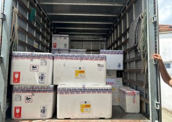 Paraíba recebe primeiras doses da vacina contra o vírus sincicial respiratório para gestantes