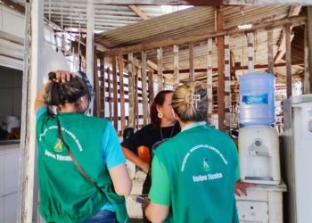 REQUALIFICAÇÃO DA FEIRA CENTRAL: Prefeitura de Campina Grande realiza cadastramento socioeconômico de feirantes