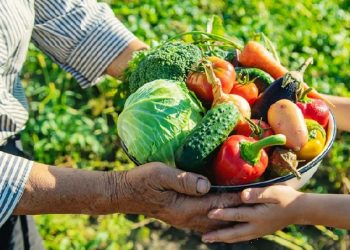 PNAE: Prefeitura de Monteiro comunica sobre credenciamento para agricultores familiares