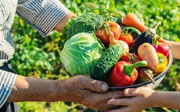PNAE: Prefeitura de Monteiro comunica sobre credenciamento para agricultores familiares
