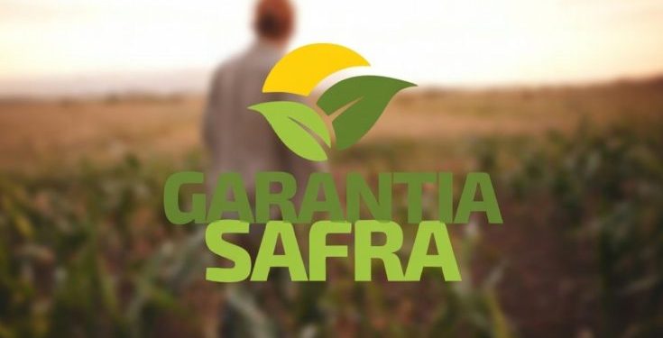 Boletos do Garantia-Safra já estão disponíveis na Secretaria de Agricultura de Sumé