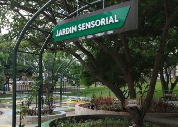 Prefeitura de Campina Grande lança campanha ambiental nesta quinta, no Parque Evaldo Cruz
