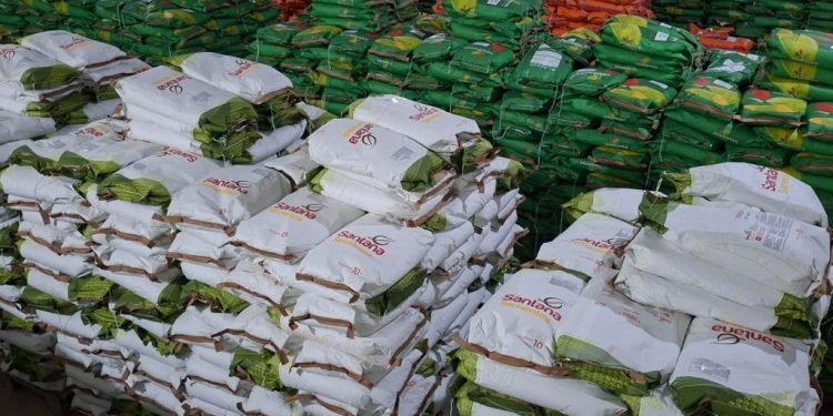 Governo da Paraíba distribui 520 toneladas de sementes com agricultores de todo Estado