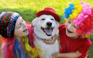 Nesta sexta (13): Viva Folia fará carnaval kids & pets em Intermares