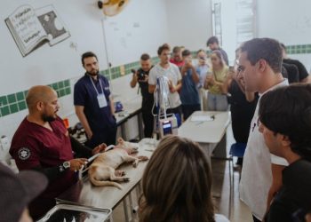 Lucas Ribeiro participa do Dia D do Pet Idoso em Campina Grande e ressalta ampliação das ações de proteção animal
