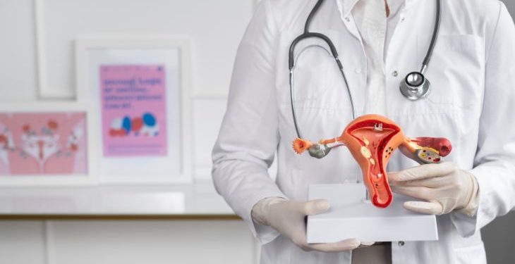 Atuação do MPPB garante exame humanizado a mulheres lésbicas e homens trans