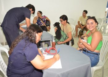 Em Monteiro: Adota + Paraíba realiza mais de 390 procedimentos e garante 20 adoções de animais