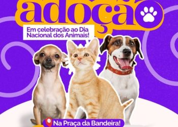 Centro de Controle de Zoonoses promove adoção de animais, na Praça da Bandeira, em Campina Grande