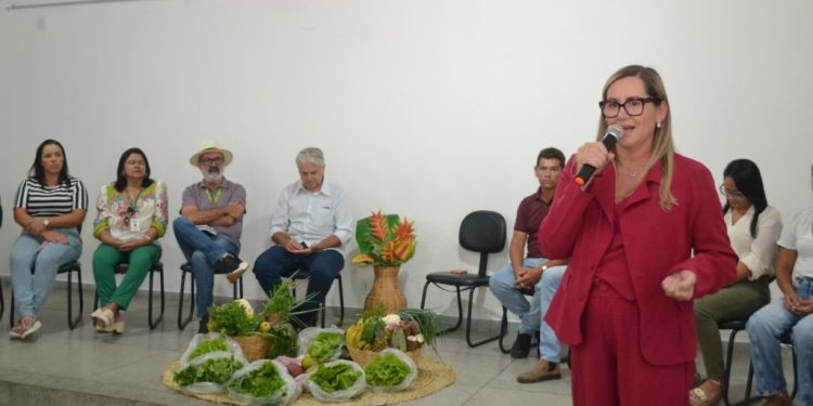 Merenda de Qualidade: Agricultores Familiares participam de reunião sobre o Compra Direta – PNAE