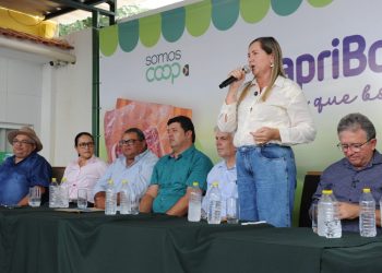 Ana Paula e Cajó participam da entrega e recebem secretário de estado da agropecuária