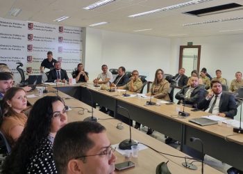 Animais soltos: MPPB discute soluções para o problema na região de Campina Grande