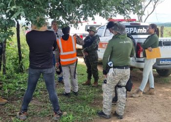 Operação Caatinga Resiste autua 227 hectares de desmatamento ilegal na PB