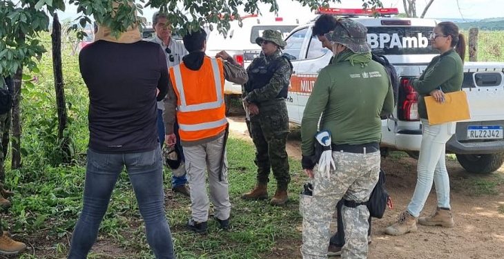 Operação Caatinga Resiste autua 227 hectares de desmatamento ilegal na PB