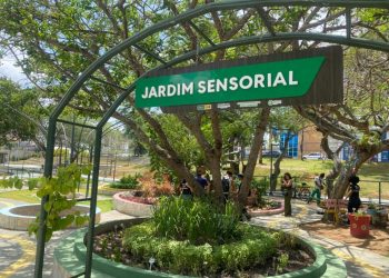 Prefeitura de Campina Grande promove evento “Vivendo o Parque” com programação ambiental gratuita no Parque Evaldo Cruz