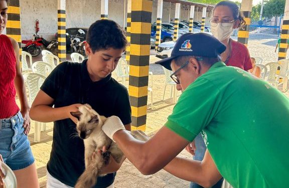 Sumé realiza Dia D de bem-estar animal com vacinação, testes e cadastro para castração