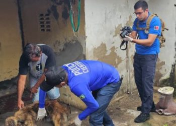 Operação Quatro Patas 2026 registra prisões e resgata 44 animais em Campina Grande