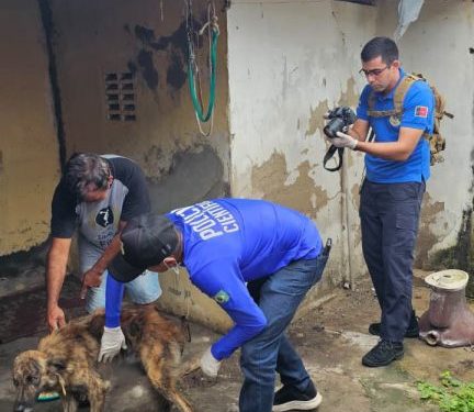 Operação Quatro Patas 2026 registra prisões e resgata 44 animais em Campina Grande