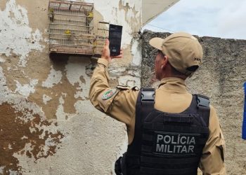 Ação integrada mobiliza forças de segurança na Operação Quatro Patas 2026 em Campina Grande