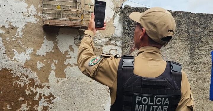 Ação integrada mobiliza forças de segurança na Operação Quatro Patas 2026 em Campina Grande