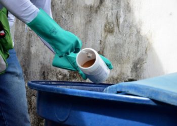 Secretaria de Saúde de Campina Grande divulga primeiro Levantamento Rápido de Índices para Aedes aegypti de 2026
