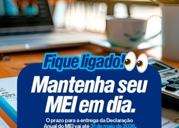 Fique Ligado: Prazo para entrega da Declaração Anual do MEI vence em 31 de maio