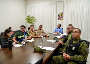 Sepa fortalece atuação integrada e amplia serviços de combate aos maus-tratos em Campina Grande