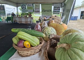 Empaer-PB apresenta tecnologias e produtos voltadas à agricultura familiar durante a 56ª Expapi