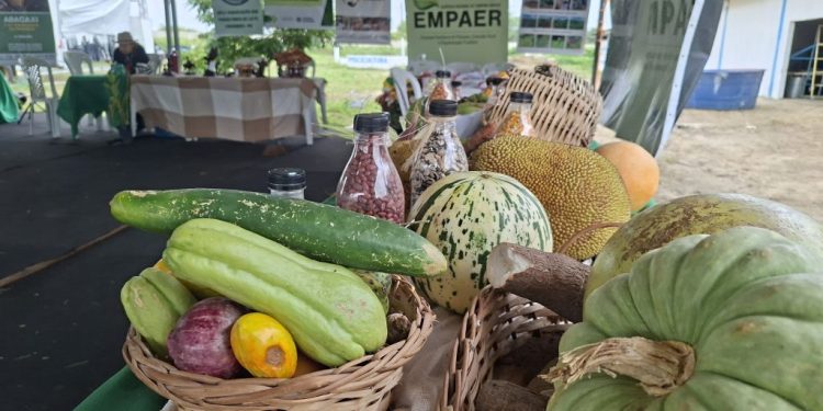 Empaer-PB apresenta tecnologias e produtos voltadas à agricultura familiar durante a 56ª Expapi