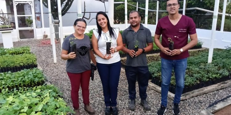 Parceria fortalece ações ambientais e garante doação de mudas para recuperação de áreas degradadas em Monteiro