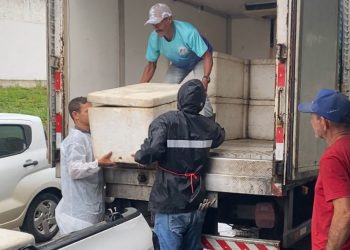 Prefeitura de Campina Grande entrega nova remessa de peixes para os Cras do Município