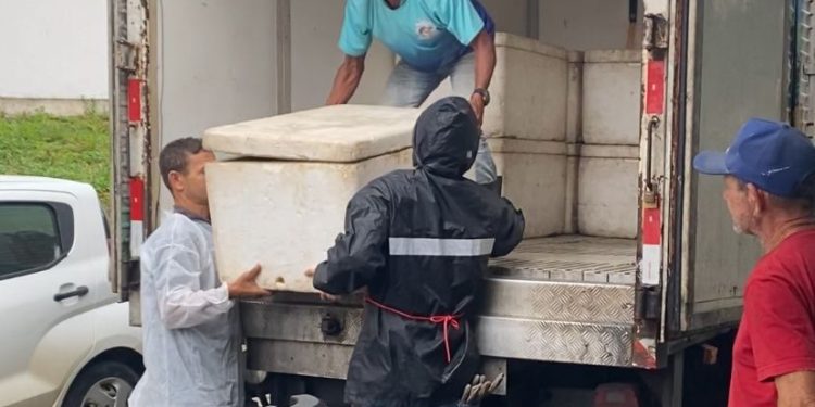 Prefeitura de Campina Grande entrega nova remessa de peixes para os Cras do Município Prefeitura de Campina Grande entrega nova remessa de peixes para os Cras do Município