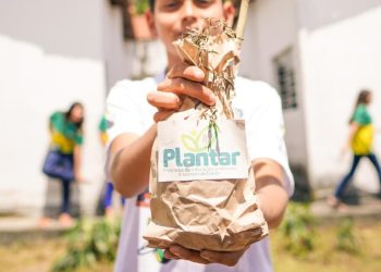 Programa Plantar beneficia 15 mil estudantes e produz 300 quilos de alimentos orgânicos por mês em Campina Grande