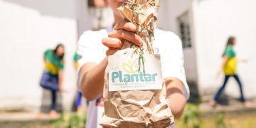 Programa Plantar beneficia 15 mil estudantes e produz 300 quilos de alimentos orgânicos por mês em Campina Grande