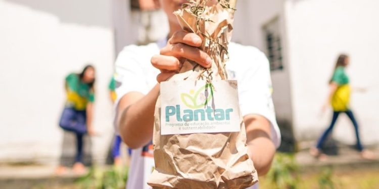 Programa Plantar beneficia 15 mil estudantes e produz 300 quilos de alimentos orgânicos por mês em Campina Grande