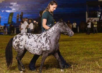 Lucas Ribeiro abre 56ª Expapi neste domingo no Parque de Exposição de Campina Grande