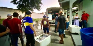 Prefeitura de Campina Grande entrega uma tonelada de peixes para famílias acompanhadas por quatro Cras do Município