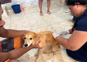 Sepa realiza mutirão de vacinação domiciliar e beneficia protetores independentes com mais de 300 doses aplicada