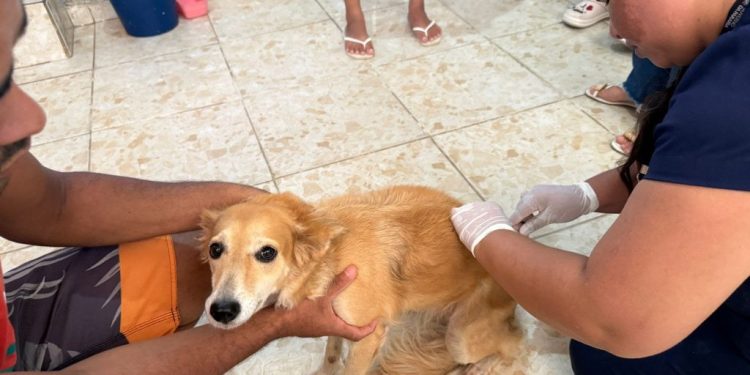 Sepa realiza mutirão de vacinação domiciliar e beneficia protetores independentes com mais de 300 doses aplicada