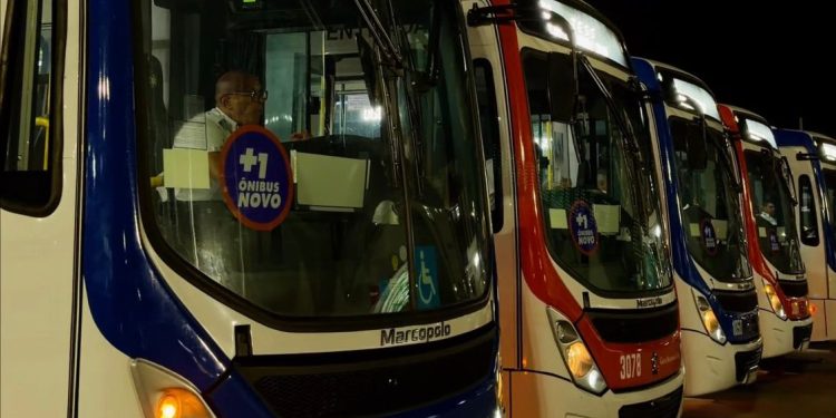 STTP divulga plano de transporte público para o Dia de São João, em Campina Grande
