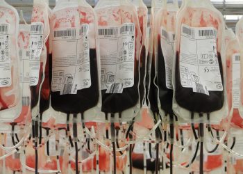 Junho Vermelho encerra campanha com 6,1 mil doações de sangue na Paraíba