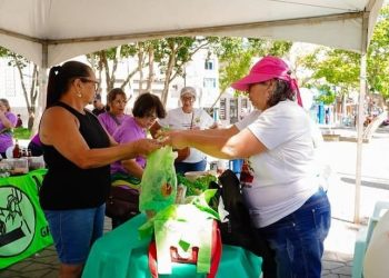 Secretaria de Agricultura de Campina Grande realizará II Feira Raízes Femininas dos Distritos de Campina