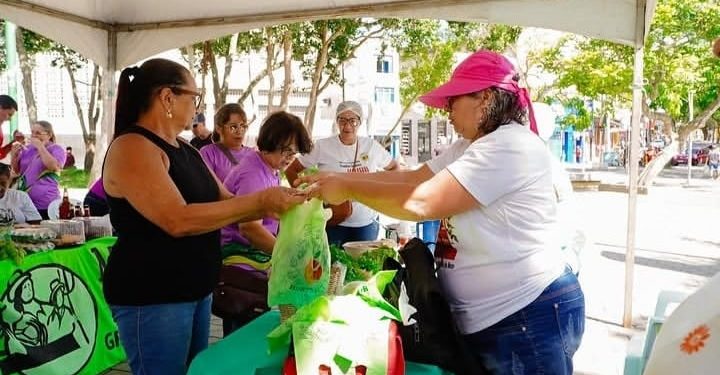 Secretaria de Agricultura de Campina Grande realizará II Feira Raízes Femininas dos Distritos de Campina