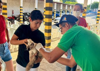 Em Sumé: Vacinação antirrábica começa nesta terça-feira na zona rural