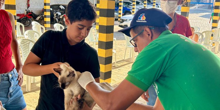 Em Sumé: Vacinação antirrábica começa nesta terça-feira na zona rural