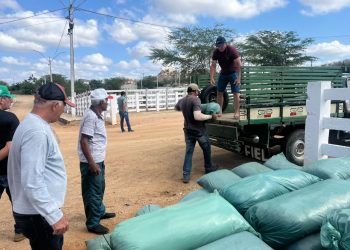 Prefeitura de Sumé e Governo da Paraíba iniciam distribuição de silagem no município