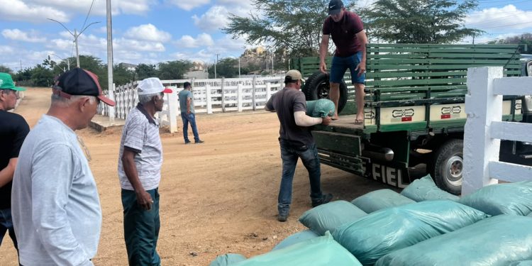 Prefeitura de Sumé e Governo da Paraíba iniciam distribuição de silagem no município